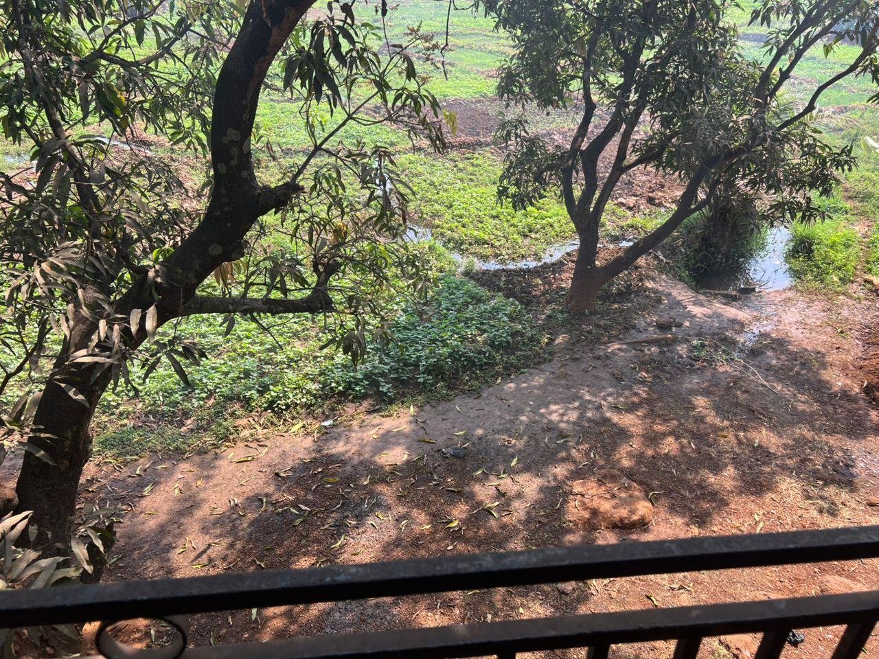 Terrain a Lansana yah
